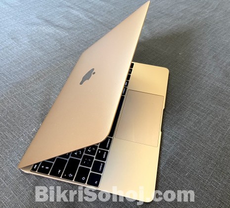 MacBook Gold Retina 512gb/8gb